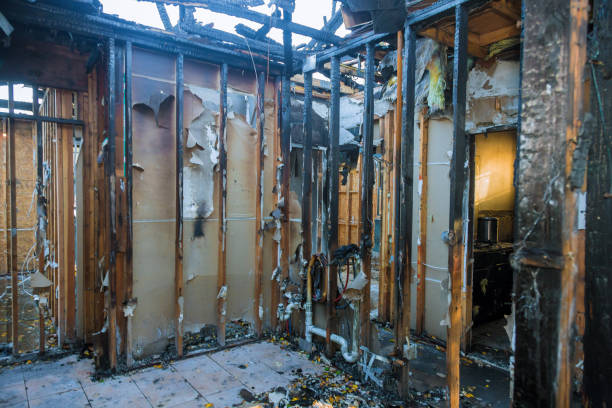 Professional Fire Damage Removal technician working in Grand Meadow, MN